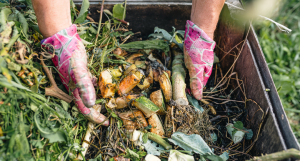 Brug dit haveaffald til at bygge en kompostbunke