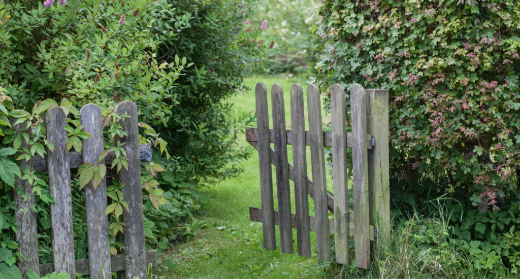 Vindmøller på blomstereng et eksempel på hvordan vedvarende energi og biodiversitet går hånd i hånd_